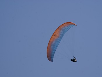 11.04.12SND.jpg