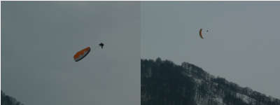 20073246acro.jpg