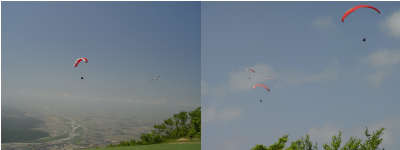 2007527furaito.jpg