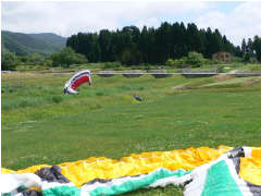 2007527hikizurareru.jpg