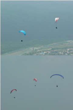 2007607furaito.jpg