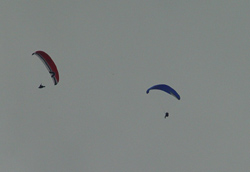 2007610soarinngu.jpg