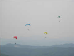 2007613furaito1.jpg