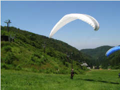 2007616masutang.jpg