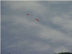 2007617furaito.jpg