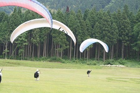 2011.06.10.ld.jpg