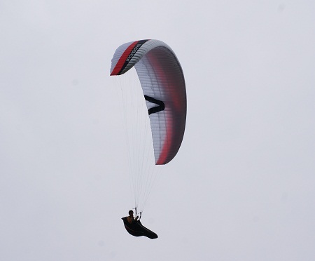 2011.06.16.taka.jpg