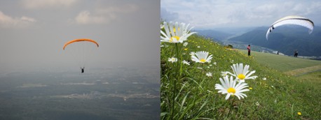 2011.06.19A.jpg