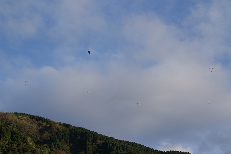 2011.11.12.yuugata.jpg