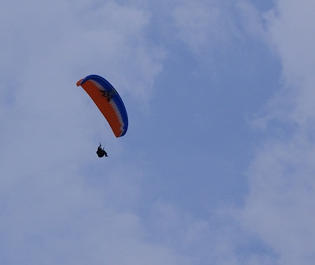 2011.11.13.pm.jpg