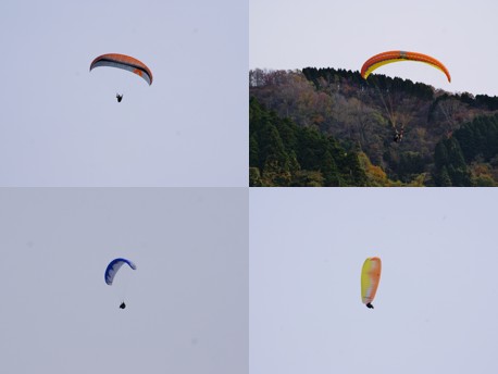 2011.11.27.seito.jpg