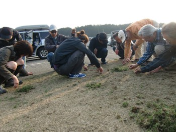 2011.4.10.くさ.jpg