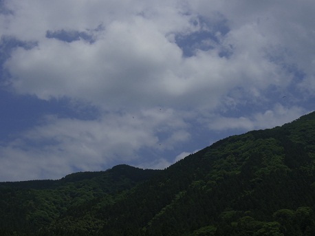 2012.05.31.asa.jpg
