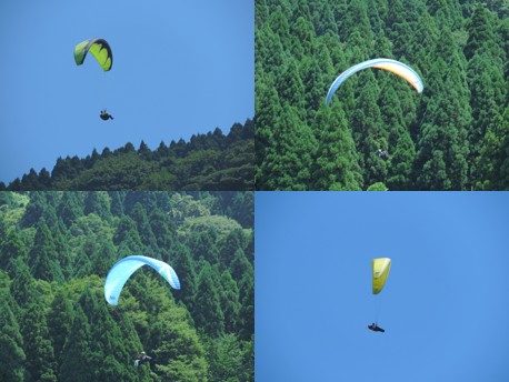 2014.07.31.asa.jpg