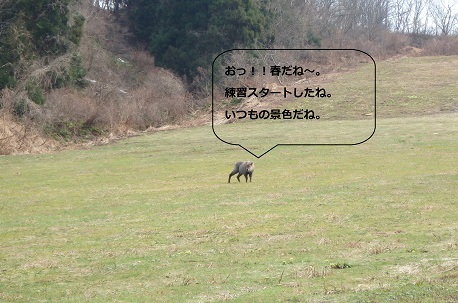 2017.04.10.しか.jpg