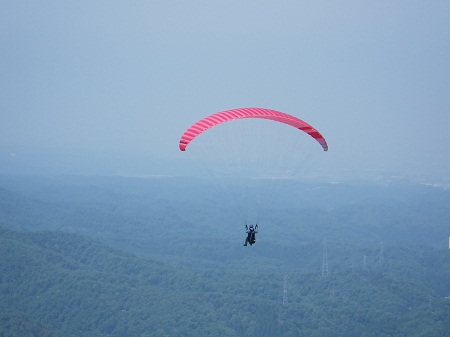22.06.06.dsyou.jpg