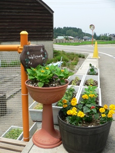 花いっぱい運動.jpg