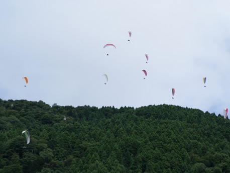 渋い20120909.jpg