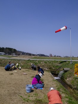 草抜き11.04.14.jpg