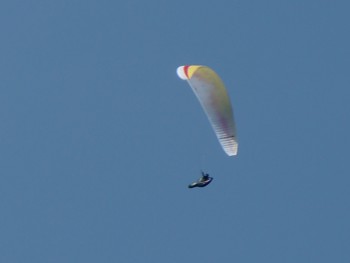 M4flight11.04.14.jpg
