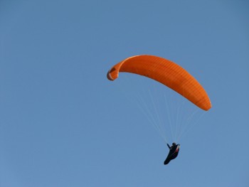 SIGMA811.04.14.jpg