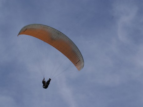 Nyamaさん20111129.jpg