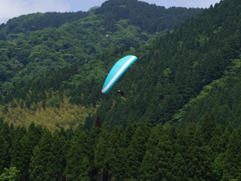 RCYA SAN0603.jpg